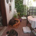 Haus Zum Kleinen Helm Διαμέρισμα *