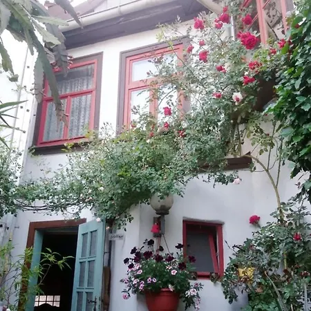 Lägenhet Haus Zum Kleinen Helm *