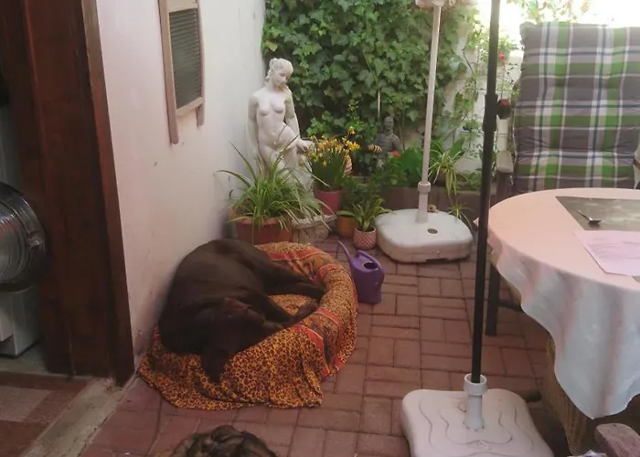 Haus Zum Kleinen Helm Апартаменты *