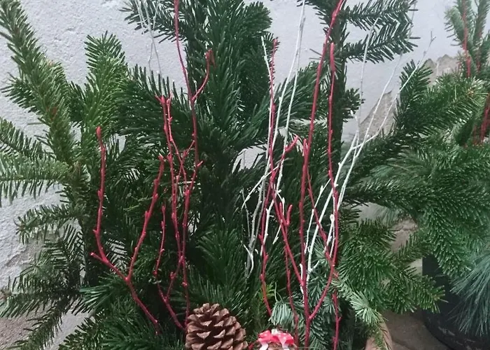 アパート Haus Zum Kleinen Helm *